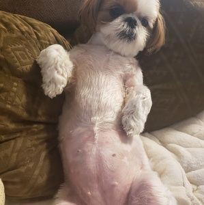 Meet your Posher, Yuri